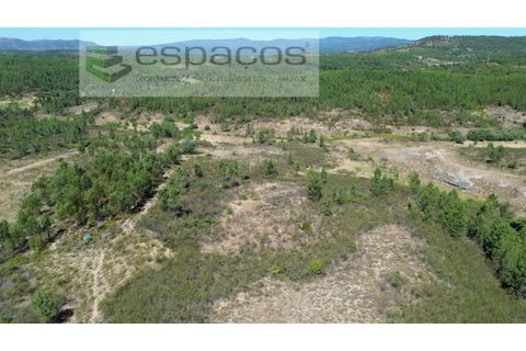 Terreno en Castelo Branco, Castelo Branco, Castelo Branco - € 44.000 | Ref: 5582/EG - photo 9