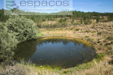Terreno en Castelo Branco, Castelo Branco, Castelo Branco - € 44.000 | Ref: 5582/EG - photo 10