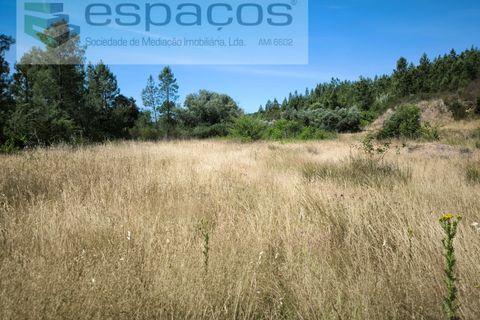 Terreno en Castelo Branco, Castelo Branco, Castelo Branco - € 44.000 | Ref: 5582/EG - photo 11