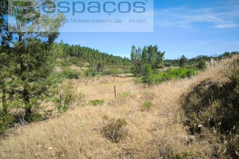Terreno en Castelo Branco, Castelo Branco, Castelo Branco - € 44.000 | Ref: 5582/EG - photo 12