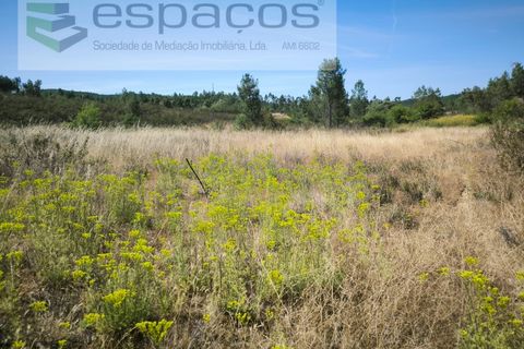 Terreno en Castelo Branco, Castelo Branco, Castelo Branco - € 44.000 | Ref: 5582/EG - photo 13