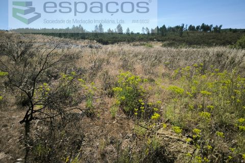 Terreno en Castelo Branco, Castelo Branco, Castelo Branco - € 44.000 | Ref: 5582/EG - photo 14