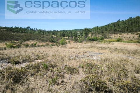 Terreno en Castelo Branco, Castelo Branco, Castelo Branco - € 44.000 | Ref: 5582/EG - photo 15