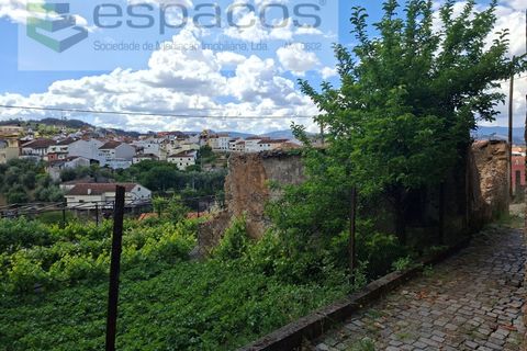 Villa i Silvares, Castelo Branco, Silvares - € 10 000 | Ref: 5761/CP_AF - foto 6