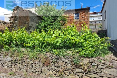 Villa i Silvares, Castelo Branco, Silvares - € 10 000 | Ref: 5761/CP_AF - foto 9