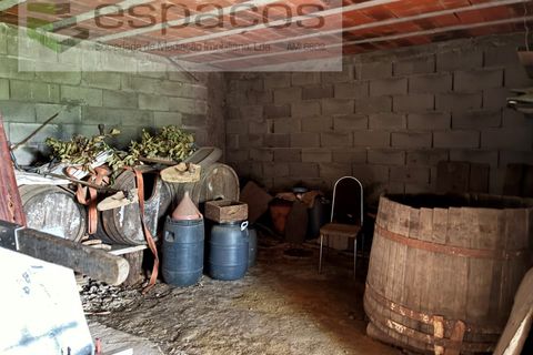 Villa i Silvares, Castelo Branco, Silvares - € 125.000 | Ref: 5517/CP_AF - foto 9