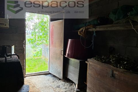 Villa i Silvares, Castelo Branco, Silvares - € 125.000 | Ref: 5517/CP_AF - foto 12