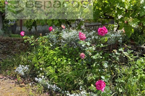 Villa i Silvares, Castelo Branco, Silvares - € 125.000 | Ref: 5517/CP_AF - foto 43