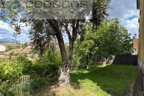 Villa i Silvares, Castelo Branco, Silvares - € 125.000 | Ref: 5517/CP_AF - foto 44