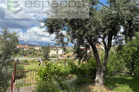Villa i Silvares, Castelo Branco, Silvares - € 125.000 | Ref: 5517/CP_AF - foto 46