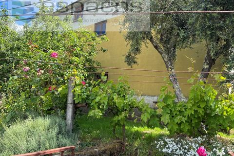 Villa i Silvares, Castelo Branco, Silvares - € 125.000 | Ref: 5517/CP_AF - foto 47