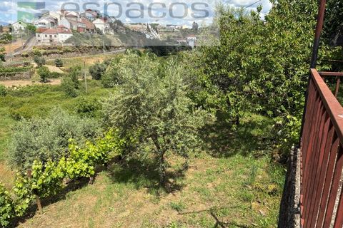 Villa i Silvares, Castelo Branco, Silvares - € 125.000 | Ref: 5517/CP_AF - foto 48