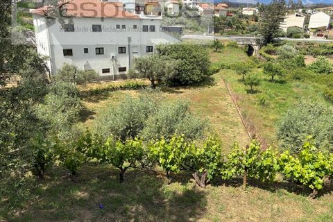 Villa i Silvares, Castelo Branco, Silvares - € 125.000 | Ref: 5517/CP_AF - foto 49