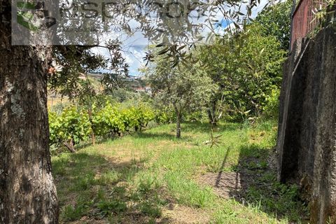 Villa i Silvares, Castelo Branco, Silvares - € 125.000 | Ref: 5517/CP_AF - foto 50