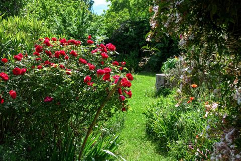 Villa i Uzes, Gard, Uzes - € 840.000 | Ref: HH-16217420 - foto 17