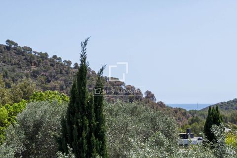 Villa en Pucol, Valencia, Pucol - € 2.500.000 | Ref: VAL46262 - photo 45