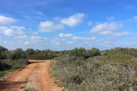 Landejendom i Campos, Mallorca, Campos - € 4.500.000 | Ref: SH-1786 - foto 22