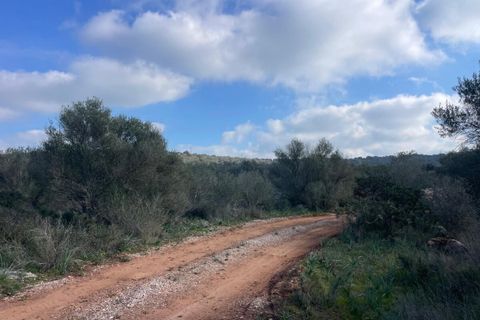 Landejendom i Campos, Mallorca, Campos - € 4.500.000 | Ref: SH-1786 - foto 23