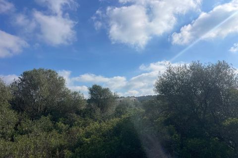 Landejendom i Campos, Mallorca, Campos - € 4.500.000 | Ref: SH-1786 - foto 24