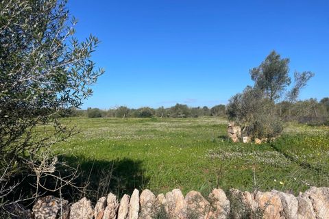 Helårsgrund i Campos, Mallorca, Campos - € 235.000 | Ref: SH-1800 - foto 1