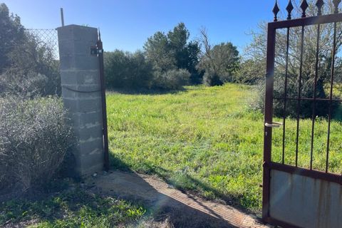 Helårsgrund i Campos, Mallorca, Campos - € 235.000 | Ref: SH-1800 - foto 4