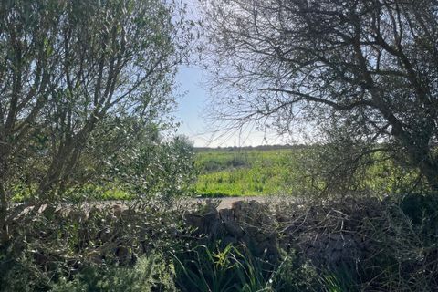 Helårsgrund i Campos, Mallorca, Campos - € 235.000 | Ref: SH-1800 - foto 5