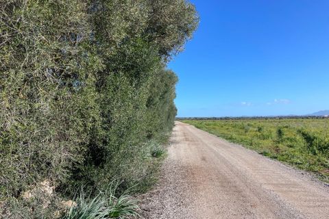 Helårsgrund i Campos, Mallorca, Campos - € 235.000 | Ref: SH-1800 - foto 6