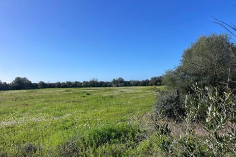 Helårsgrund i Campos, Mallorca, Campos - € 235.000 | Ref: SH-1800 - foto 8