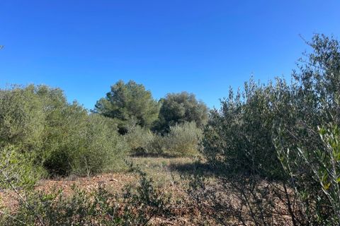 Helårsgrund i Campos, Mallorca, Campos - € 235.000 | Ref: SH-1800 - foto 9