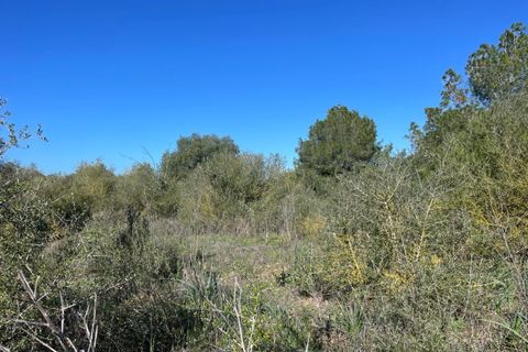 Helårsgrund i Campos, Mallorca, Campos - € 235.000 | Ref: SH-1800 - foto 10