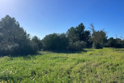 Helårsgrund i Campos, Mallorca, Campos - € 235.000 | Ref: SH-1800 - foto 11