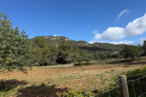 Villa i Es Capdella, Mallorca, Es Capdella - € 2.395.000 | Ref: SH-1839 - foto 46