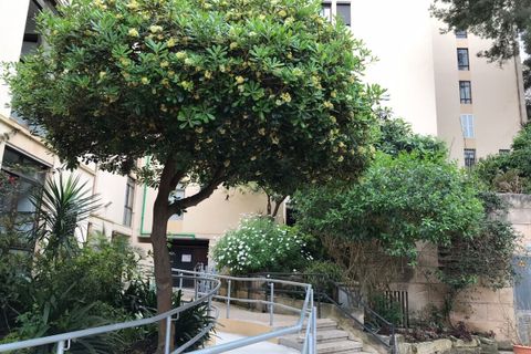 Leilighet i Cala Mayor, Mallorca, Cala Mayor - € 375 000 | Ref: SH-1846 - foto 20