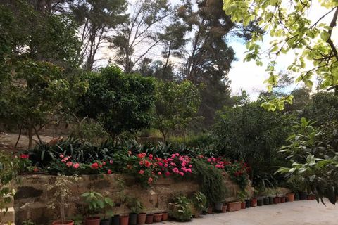 Leilighet i Cala Mayor, Mallorca, Cala Mayor - € 375 000 | Ref: SH-1846 - foto 22