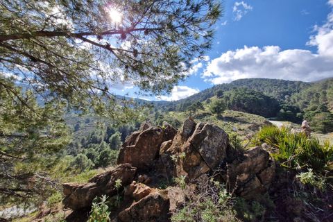 Cortijo i Tolox, Malaga, Tolox - € 349.000 | Ref: R4780804 - foto 34