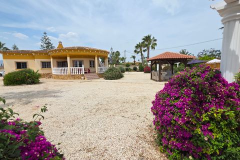 Villa i Catral, Alicante, Catral - € 385.000 | Ref: 5370-67 - foto 4