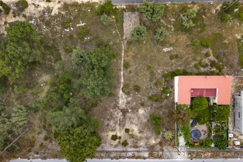 Helårsgrund i Quinta do Conde, Setubal, Quinta do Conde - € 90.000 | Ref: 30609012-4 - foto 5