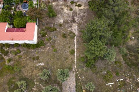 Helårsgrund i Quinta do Conde, Setubal, Quinta do Conde - € 90.000 | Ref: 30609012-4 - foto 9