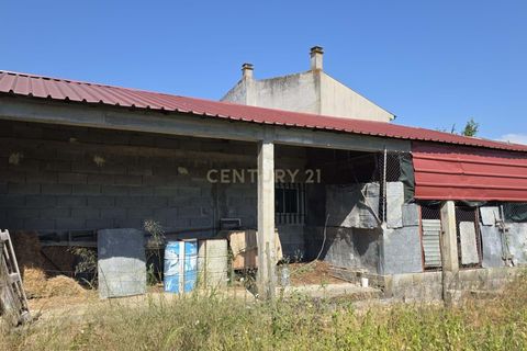 Villa i Soure, Coimbra, Soure - € 126.000 | Ref: C0381-00916 - foto 25