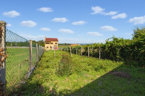 Villa i Viana do Castelo, Viana do Castelo, Viana do Castelo - € 325.000 | Ref: 254260827 - foto 2