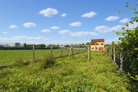 Villa i Viana do Castelo, Viana do Castelo, Viana do Castelo - € 325.000 | Ref: 254260827 - foto 36