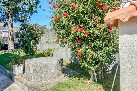 Villa i Barcelos, Braga, Barcelos - € 385.000 | Ref: 254260823 - foto 6