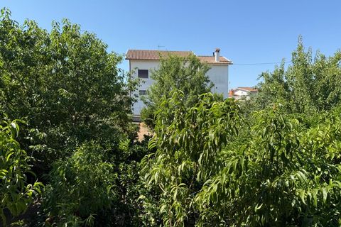 Villa a Carregal do Sal, Viseu, Carregal do Sal - € 195.000 | Ref: SALI0296 - foto 45