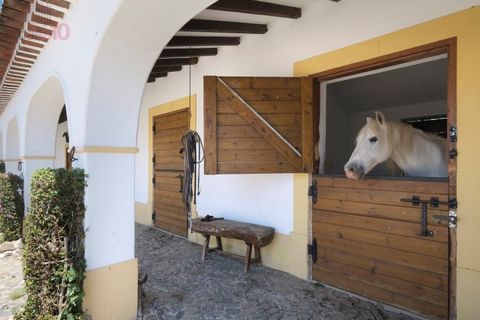 Villa a Monforte, Portalegre, Monforte - € 3.200.000 | Ref: ALC 1439 - foto 4