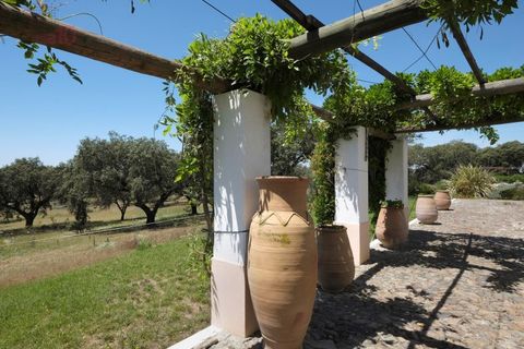 Villa a Monforte, Portalegre, Monforte - € 3.200.000 | Ref: ALC 1439 - foto 14