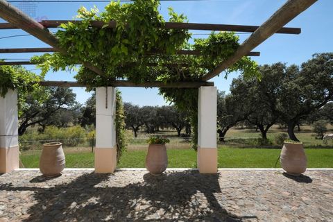 Villa a Monforte, Portalegre, Monforte - € 3.200.000 | Ref: ALC 1439 - foto 35
