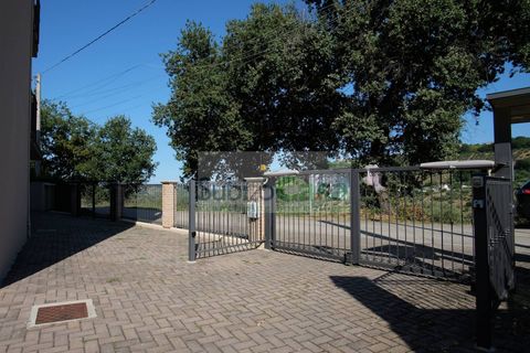 Lejlighed i Bucchianico, Chieti, Bucchianico - € 120.000 | Ref: D 449 - foto 47