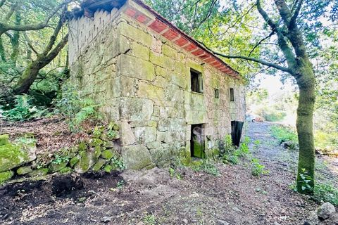 Farm i Guimaraes, Braga, Guimaraes - € 199.000 | Ref: G956 - foto 1
