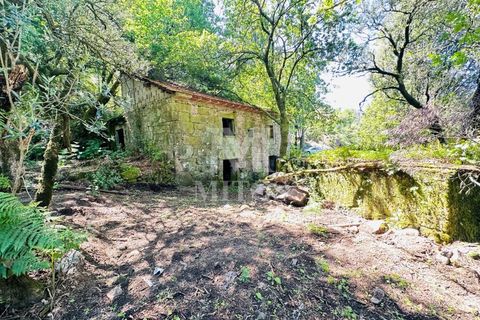Farm i Guimaraes, Braga, Guimaraes - € 199.000 | Ref: G956 - foto 2