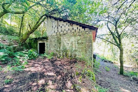 Farm i Guimaraes, Braga, Guimaraes - € 199.000 | Ref: G956 - foto 4
